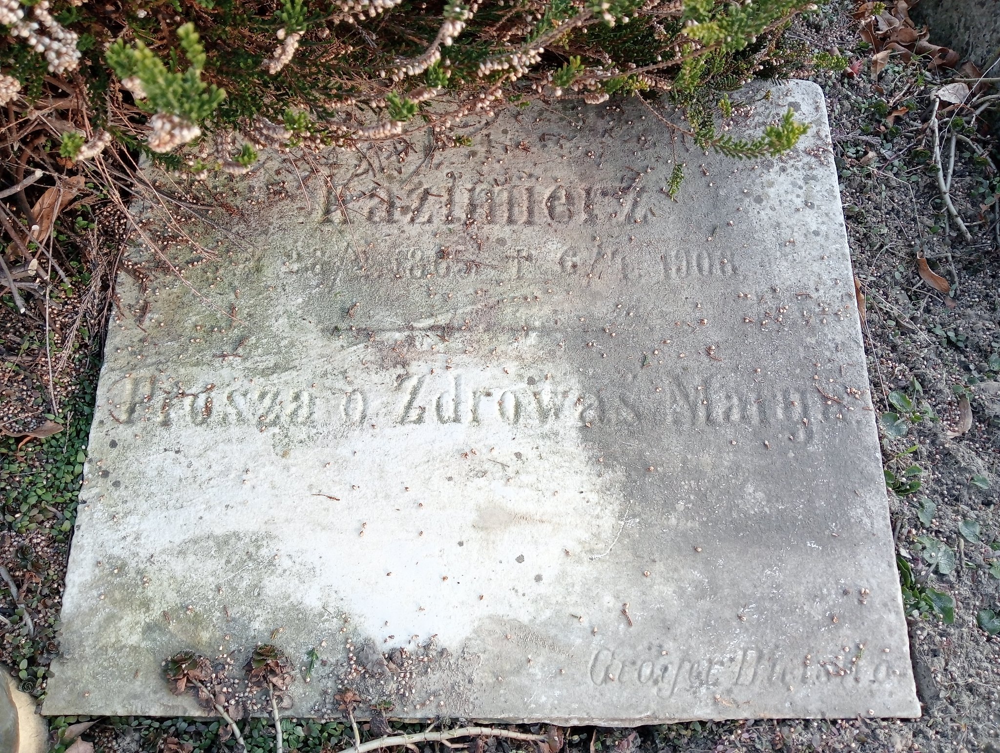 Merta Terezya 1828 Wilamowice - Grobonet - Wyszukiwarka osób pochowanych