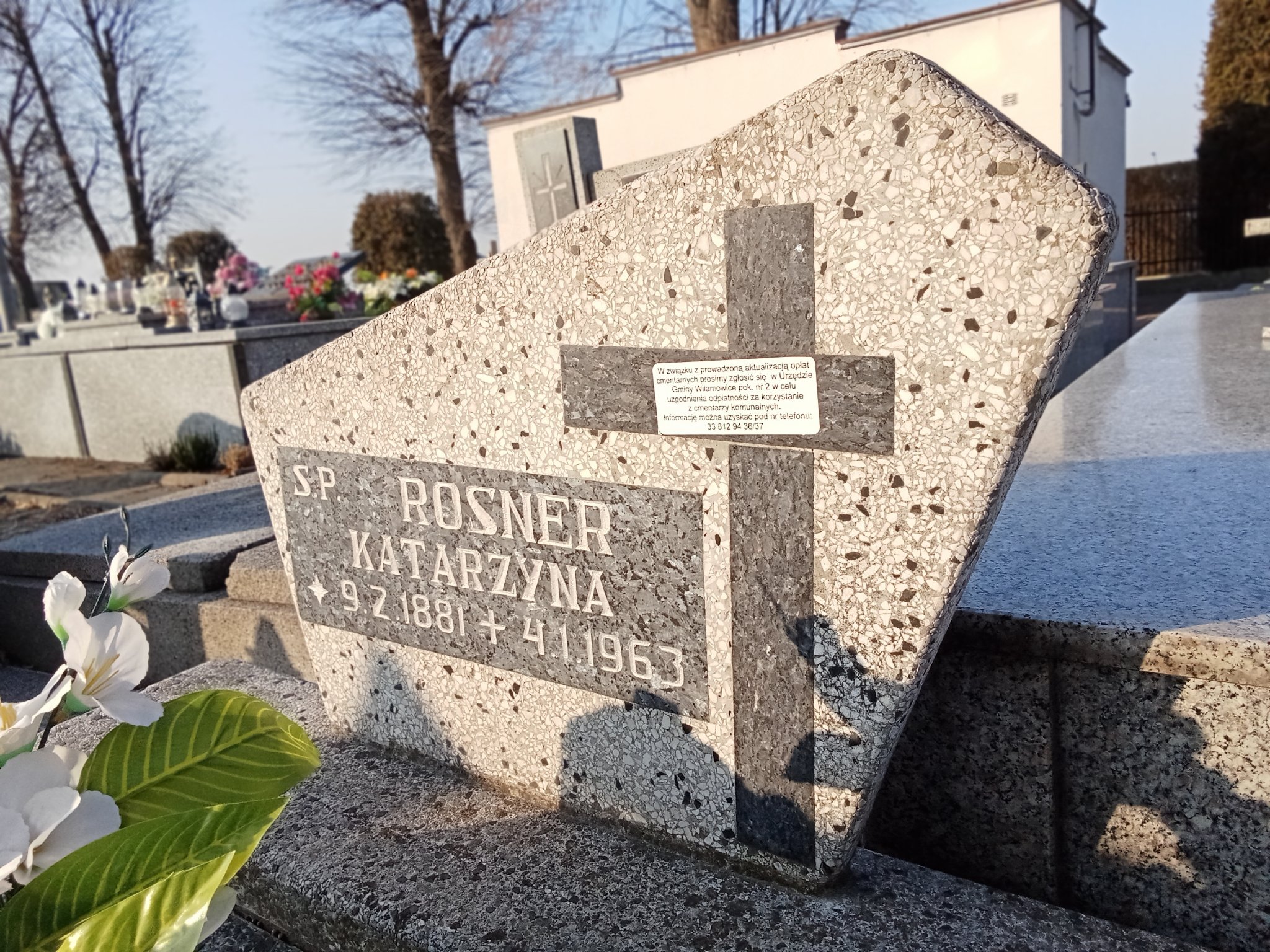 Katarzyna Rosner 1881 Wilamowice - Grobonet - Wyszukiwarka osób pochowanych
