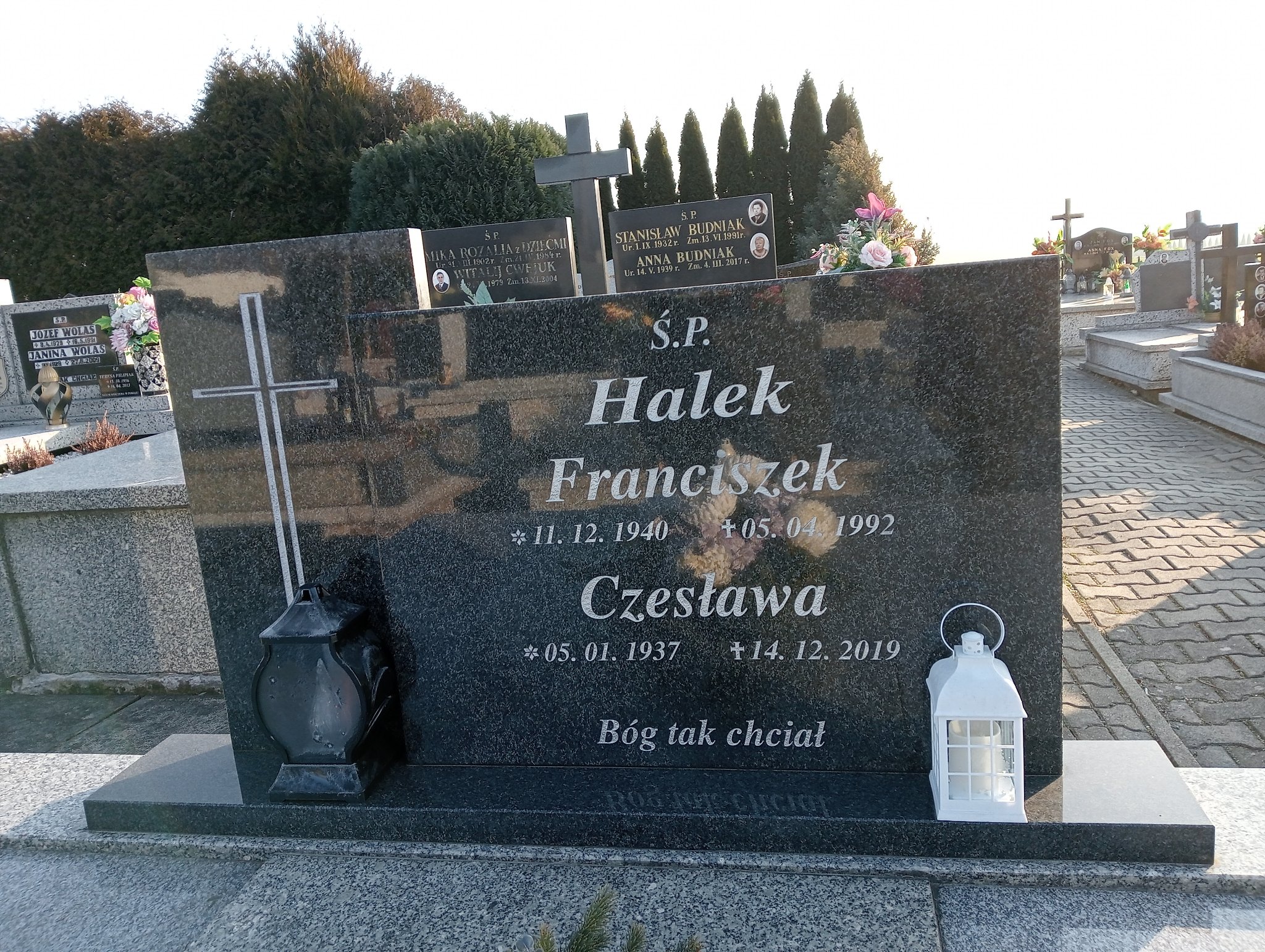 Czesława Halek 1937 Wilamowice - Grobonet - Wyszukiwarka osób pochowanych