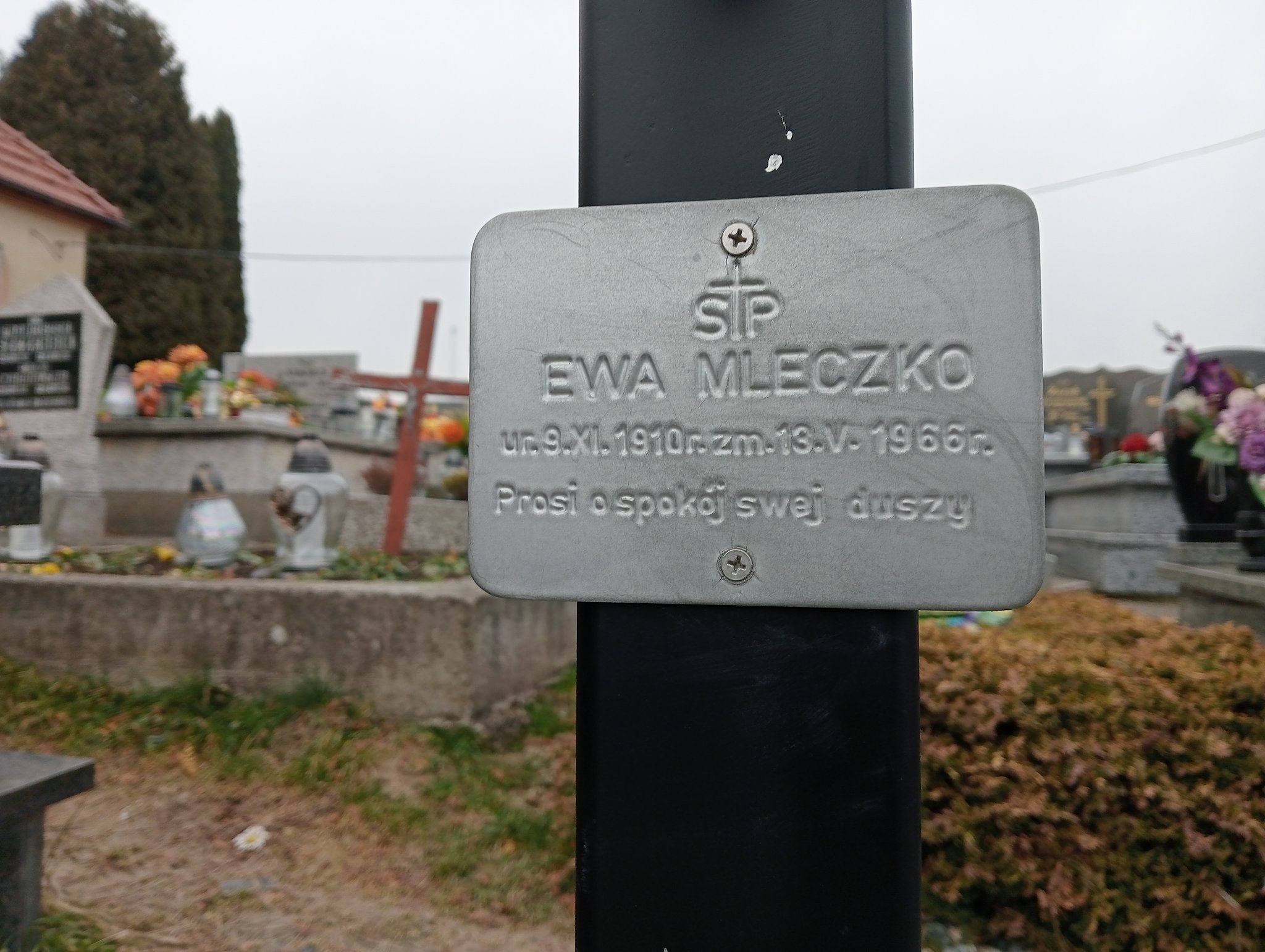 Ewa Mleczko 1910 Wilamowice - Grobonet - Wyszukiwarka osób pochowanych