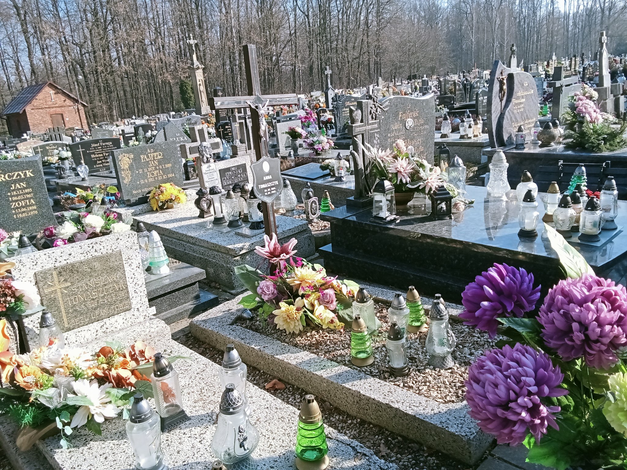 Grób Anna Tomaszczyk