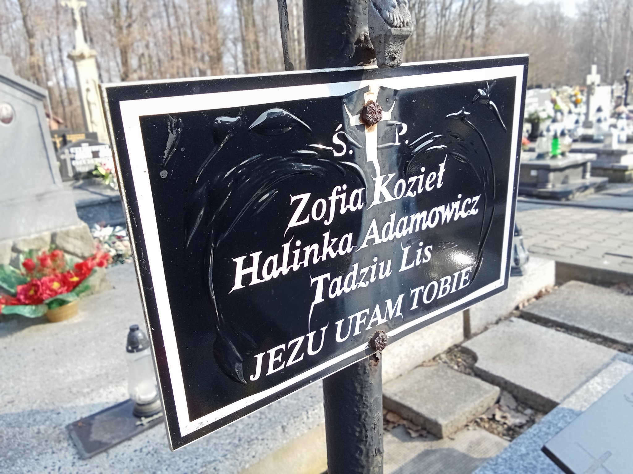 Tadeusz Lis Wilamowice - Grobonet - Wyszukiwarka osób pochowanych