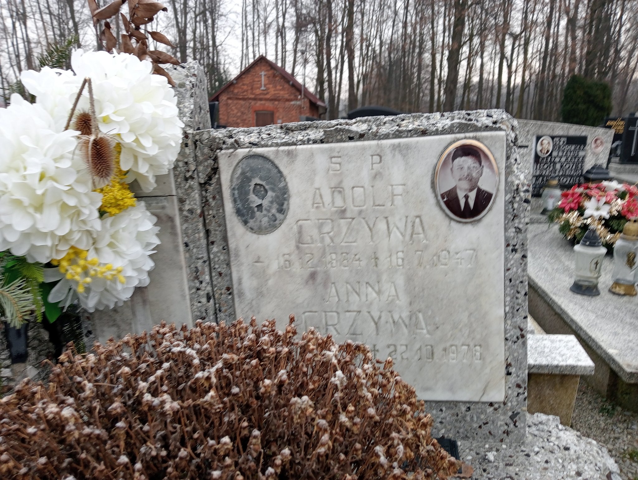 Adolf Grzywa 1884 Wilamowice - Grobonet - Wyszukiwarka osób pochowanych