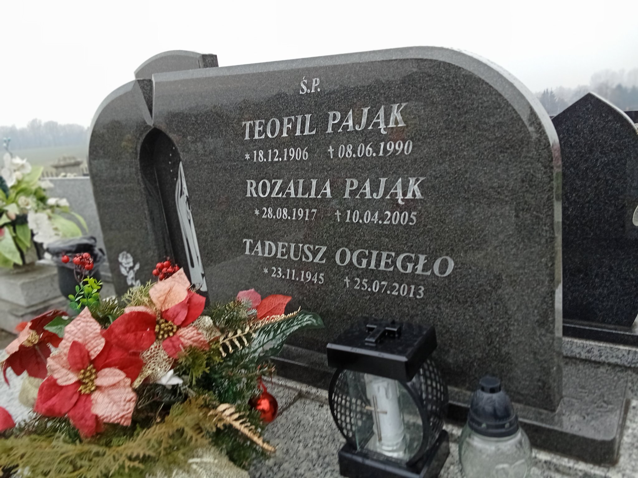 Teofil Pająk 1906 Wilamowice - Grobonet - Wyszukiwarka osób pochowanych